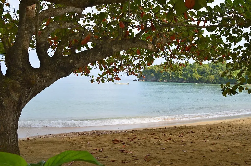 Kaz Kreol Beach Hotel Ocho Rios